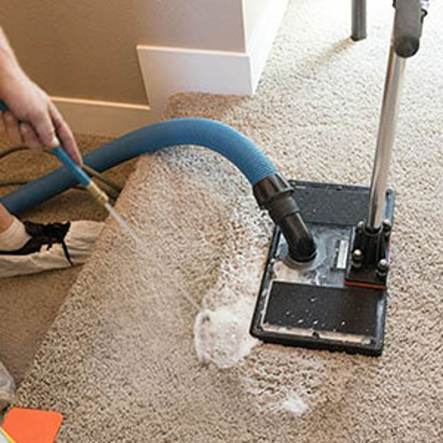 RM Pest Control