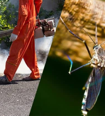 RM Pest Control